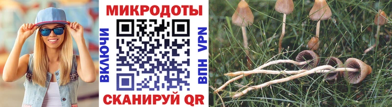 Галлюциногенные грибы мицелий  Тобольск 